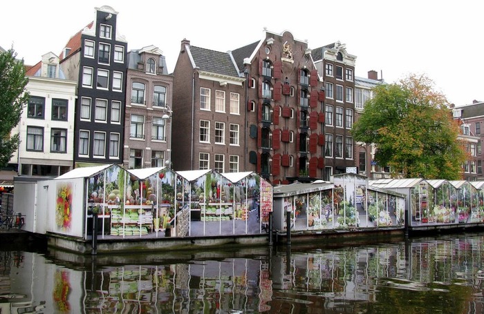 цветы, рынок, амстердам